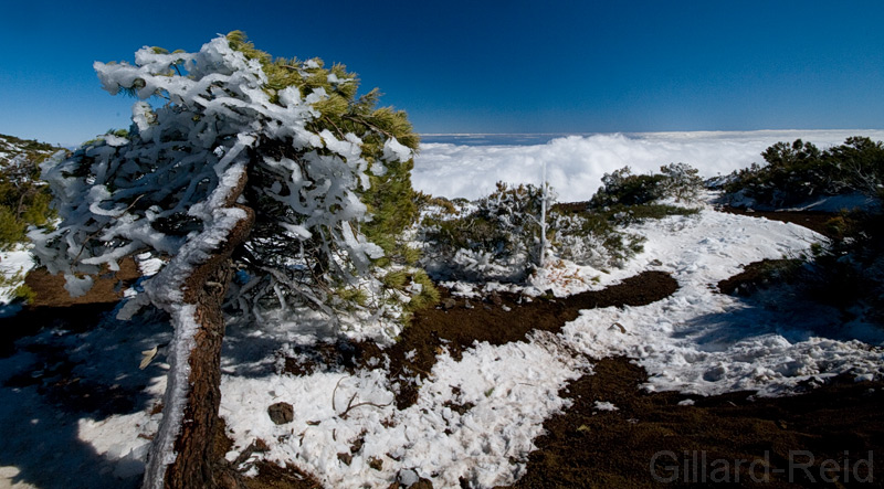 teide