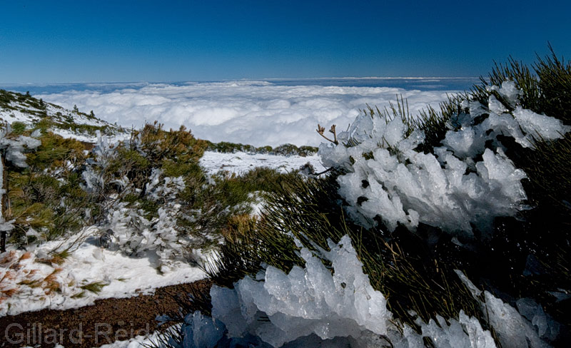 teide