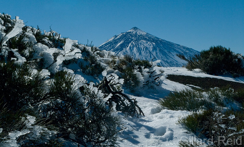 teide