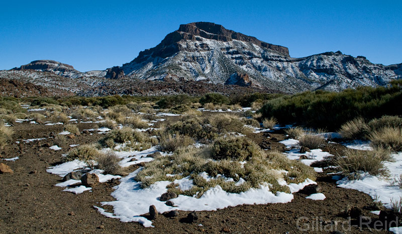 teide