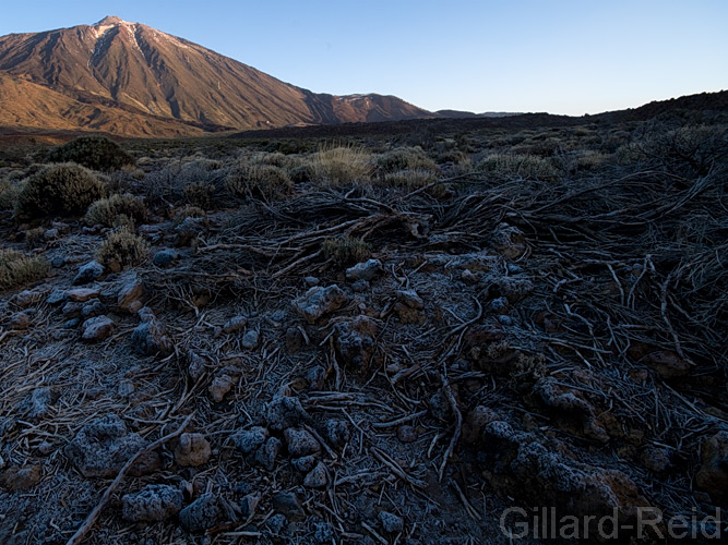 teide