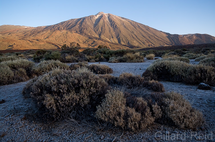 teide