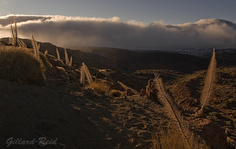 tenerife