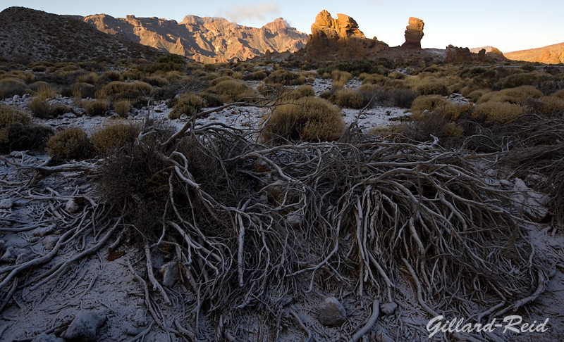 roques