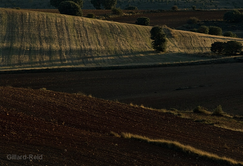 near Daroca