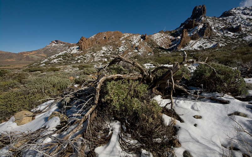 teide