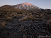 Teide winter