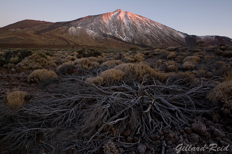 teide