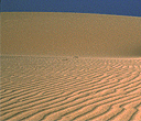 Fuerteventura dune